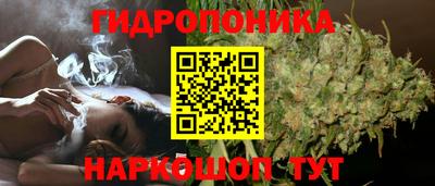 каннабис Бердск