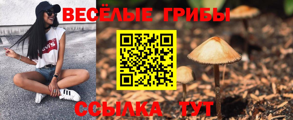 Галлюциногенные грибы GOLDEN TEACHER Соликамск