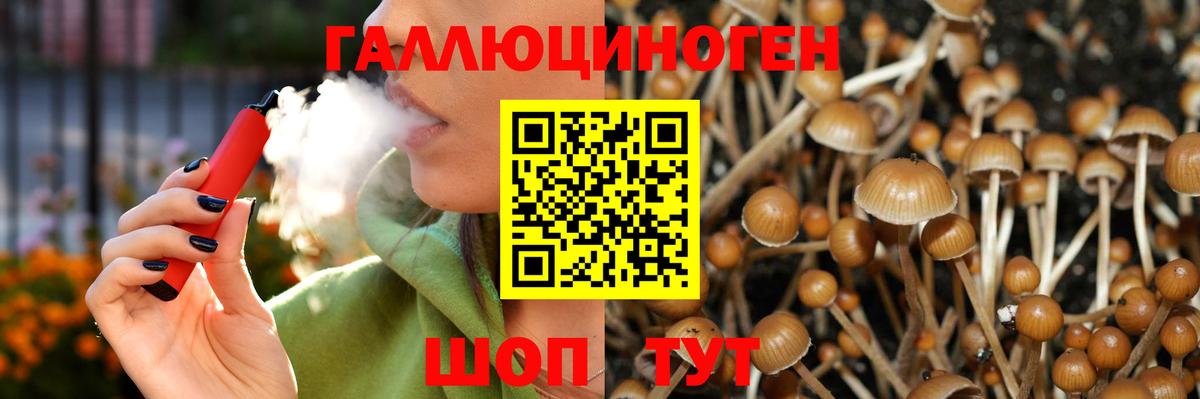 Псилоцибиновые грибы GOLDEN TEACHER  Вход с VPN  Соликамск 